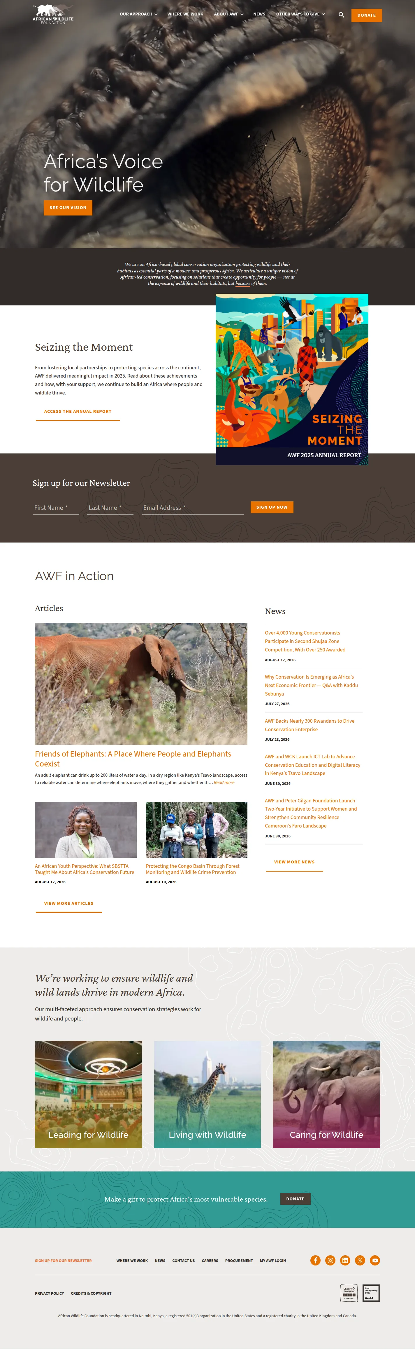 African Wildlife Foundation website design, full page