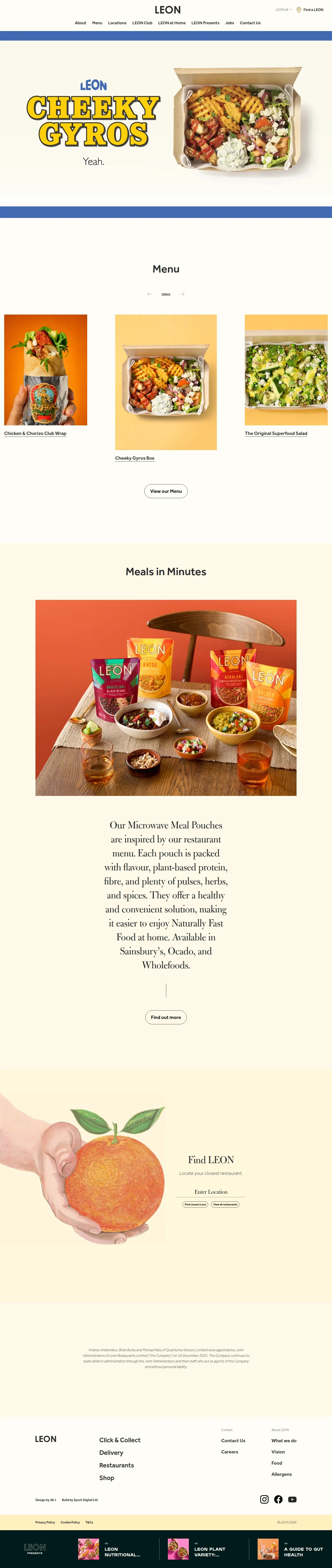 LEON website design, full page