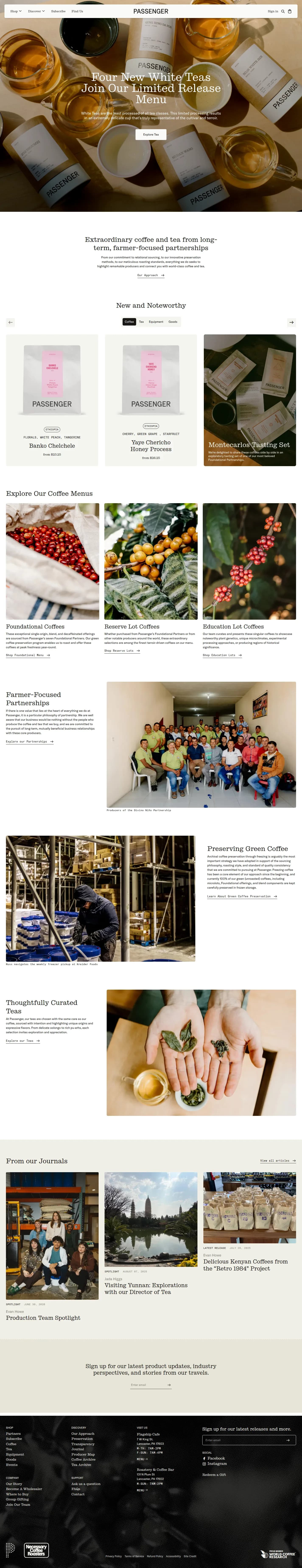 Passenger website design, full page